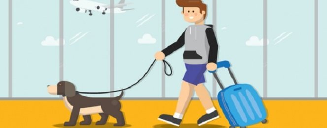 Tips Bawa Hewan Peliharaan Saat Liburan